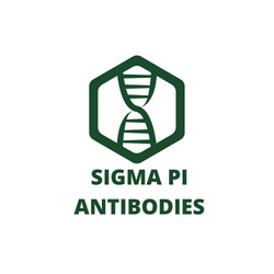 Sigma Pi Antibodies